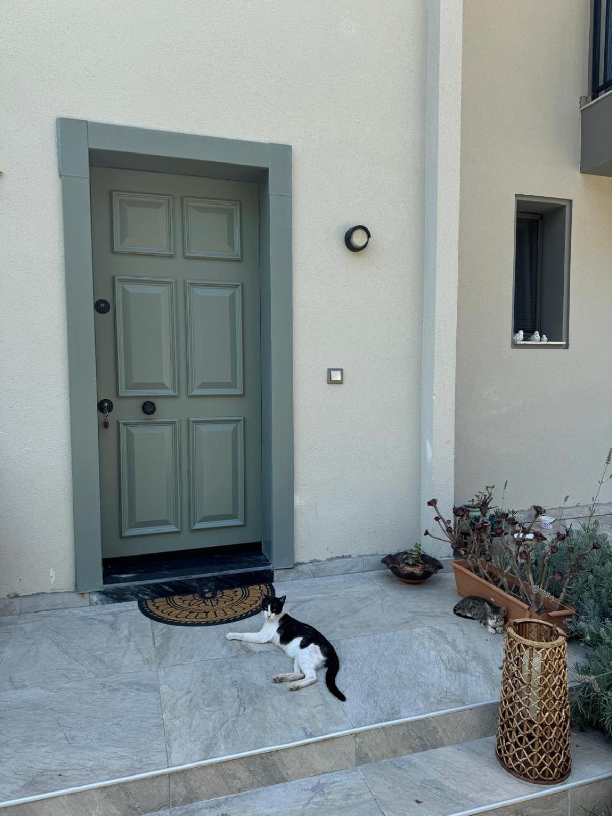 Suna Summer House Marmaris Exterior foto